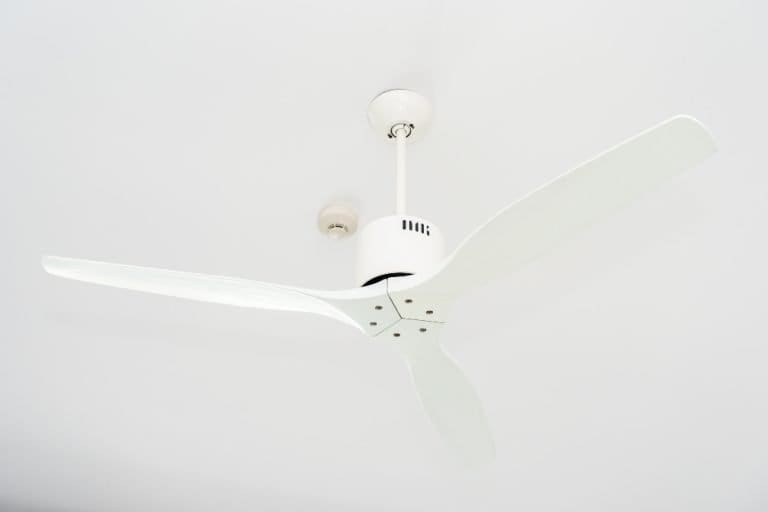 Ceiling fan with white blades installed by Gwelup electricians.